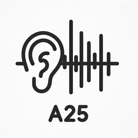 Hearing Age Test